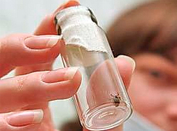 710 человек пострадали от укусов клещей в Челябинской области